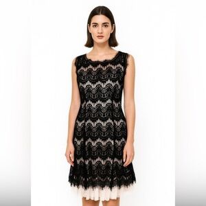 Dress Barn Black Whisker Lace Midi Dress 6